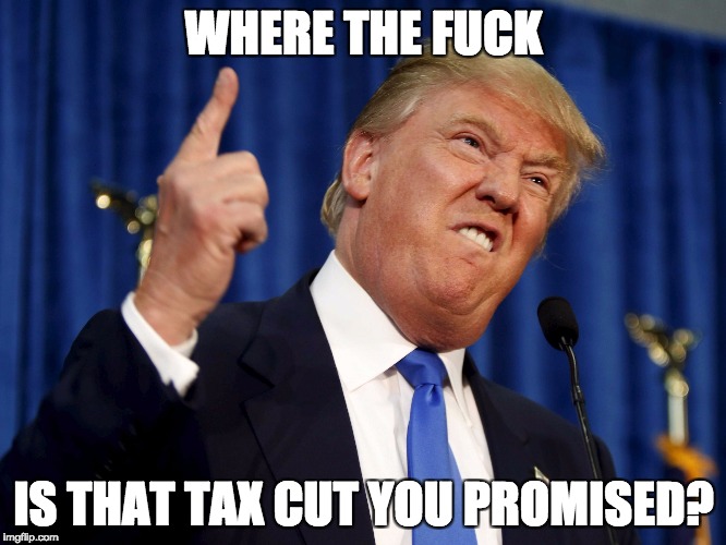 Where the fuck is that tax cut you promised?